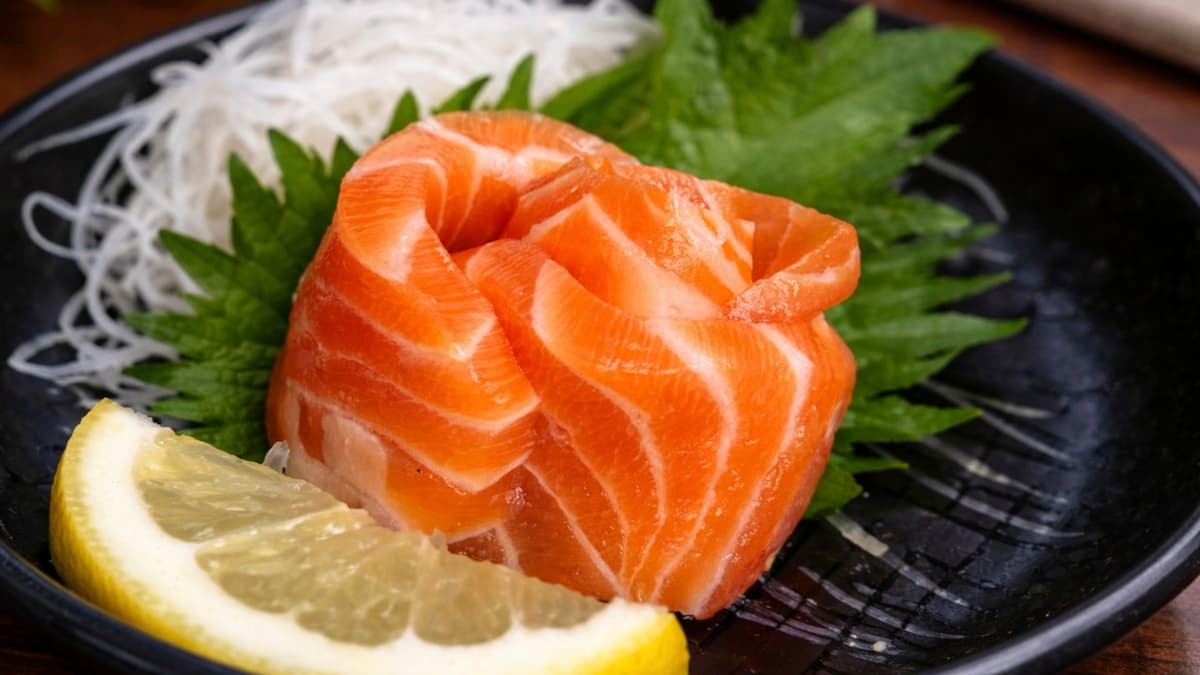 Salmon